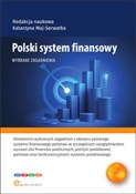 Polnische buch : Polski sys... - Julia Podobińska, Jakub Sowa, Gabriela Strojna, Michał Tabor, Dawid Żuk