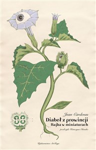 Obrazek Diabeł z prowincji