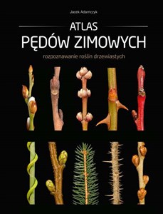 Bild von Atlas pędów zimowych