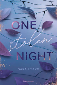 Obrazek One Stolen Night