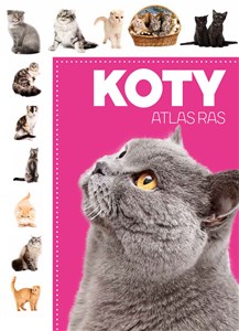 Bild von Koty Atlas ras