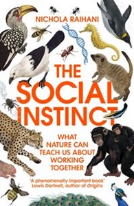 Bild von The Social Instinct