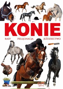 Bild von Konie rasy pielęgnacja jeździectwo