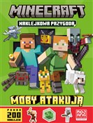 Minecraft.... - null null -  fremdsprachige bücher polnisch 