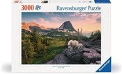 Puzzle 300... - buch auf polnisch 