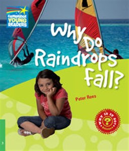 Bild von Why Do Raindrops Fall? 3 Factbook
