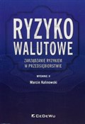 Polska książka : Ryzyko wal... - Marcin Kalinowski
