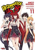 Highschool... - Hiroji Mishima, Ichiei Ishibumi -  Książka z wysyłką do Niemiec 