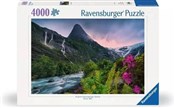 Książka : Puzzle 400...