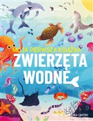 Zwierzęta ... - Eliza Jeffery -  fremdsprachige bücher polnisch 