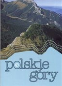Książka : Polskie gó... - Dorota Kokurewicz