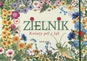 Polnische buch : Zielnik Kw... - Agnieszka Rekłajtis-Zawada