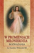 Polnische buch : W promieni... - Stanisław Witkowski MS