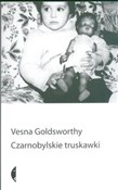 Czarnobyls... - Vesna Goldsworthy -  Polnische Buchandlung 