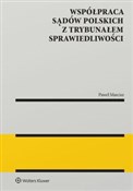 Współpraca... - Paweł Marcisz -  Polnische Buchandlung 