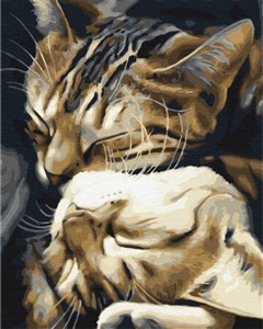 Obrazek Malowanie po numerach piące koty