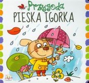 Przygoda p... - Anna Podgórska - buch auf polnisch 