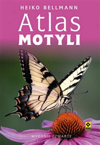 Bild von Atlas motyli