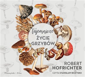 Bild von [Audiobook] Tajemnicze życie grzybów