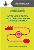 Internet R... - Buchwald Paweł, Granosik Grzegorz, Gwiazda Aleksander -  fremdsprachige bücher polnisch 