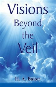 Bild von Visions Beyond the Veil