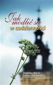 Polnische buch : Jak modlić... - Stanisław Biel, Dariusz Wiśniewski