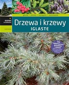Polnische buch : Drzewa i k... - Lucjan Kurowski