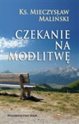 Polnische buch : Czekanie n... - Mieczysław Maliński
