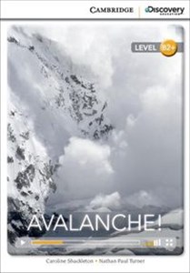 Bild von Avalanche!