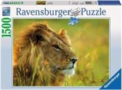 Książka : Puzzle Lew...