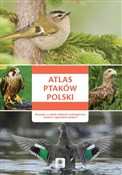 Atlas ptak... - Opracowanie Zbiorowe -  Polnische Buchandlung 