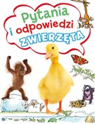 Pytania i ... - Opracowanie Zbiorowe -  fremdsprachige bücher polnisch 