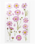 Naklejki o... -  Książka z wysyłką do Niemiec 