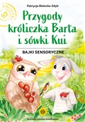 Polnische buch : Przygody k... - Patrycja Bielecka-Zdyb