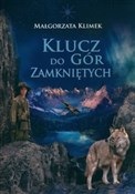 Klucz do g... - Małgorzata Klimek -  Polnische Buchandlung 