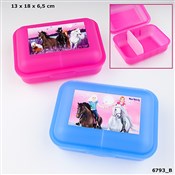 Polnische buch : PUDEŁKO ŚN...