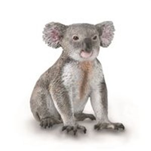 Obrazek Miś Koala