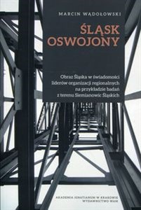 Obrazek Śląsk oswojony Obraz Śląska w świadomości liderów organizacji regionalnych na przykładzie badań z terenu Siemianowic Śląskich