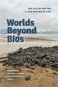 Bild von WORLDS BEYOND BIOS