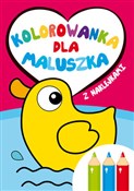 Polnische buch : Kolorowank... - Ilona Brydak (ilustr.)