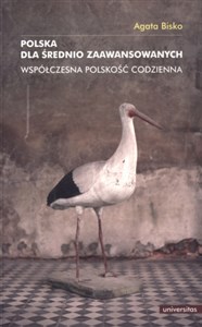 Obrazek Polska dla średnio zaawansowanych Współczesna polskość codzienna