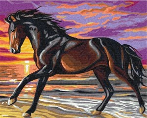 Bild von Malowanie po numerach Koń w biegu 40x50cm
