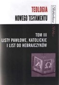 Polska książka : Teologia N... - red. Mariusz Rosik