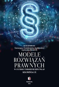 Obrazek Modele rozwiązań prawnych w systemie cyber...