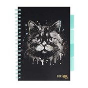 Kołozeszyt... -  Polnische Buchandlung 