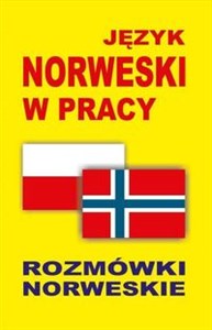 Obrazek Język norweski w pracy Rozmówki norweskie