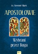 Polska książka : Apostołowi... - Sławomir Filipek