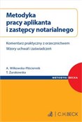 Książka : Metodyka p... - Aneta Wilkowska-Płóciennik, Tamara Żurakowska