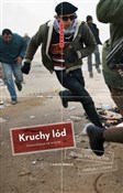 Polska książka : Kruchy lód... - Anna Wojtacha