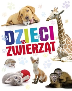 Bild von Dzieci zwierząt